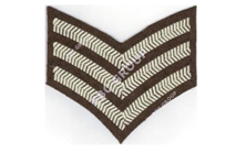 Shoulder Rank Chevron