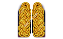 Schultergeflechte