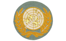 United Nations Gold Bullion Wire Blazer Badge
