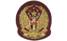 UAE Army, Air Force Bullion Blazer Badge