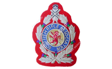 Club-Badges