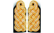 Schultergeflechte