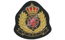 Lovely Fashion Gold Bullion Wire Blazer Badges
