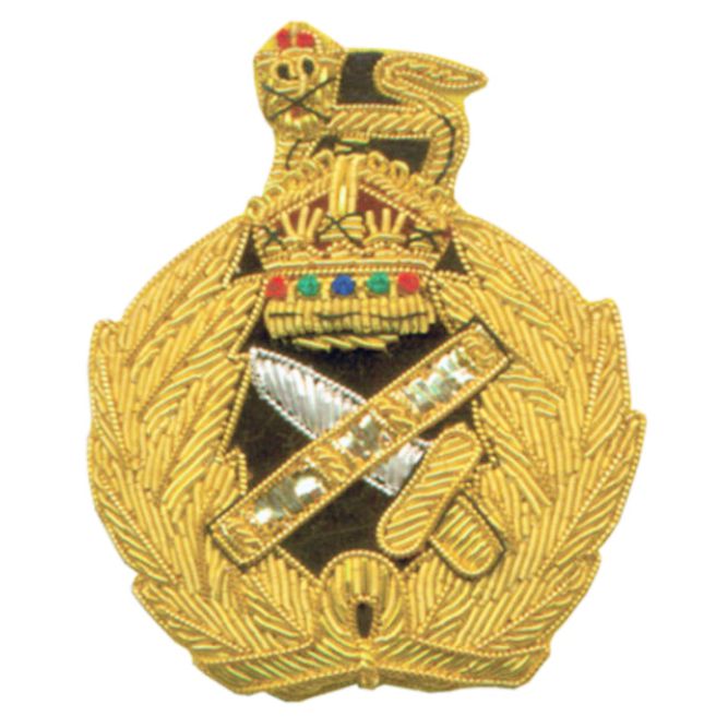 Cap Badge & Insignia